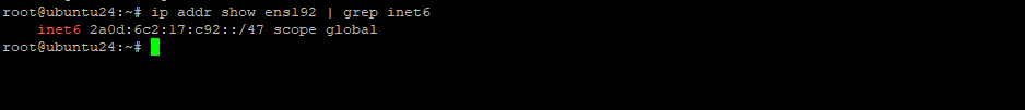 Проверка IPv6 подсети на сервере