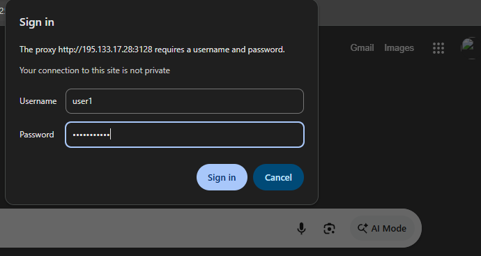 Авторизация в IPv6 прокси