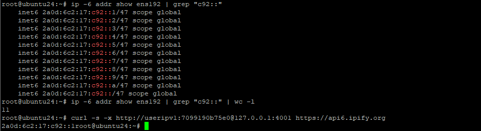 Проверка IPv6 прокси после перезагрузки VPS