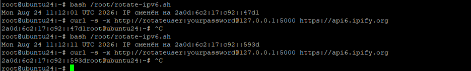 Проверка ротации IPv6 прокси